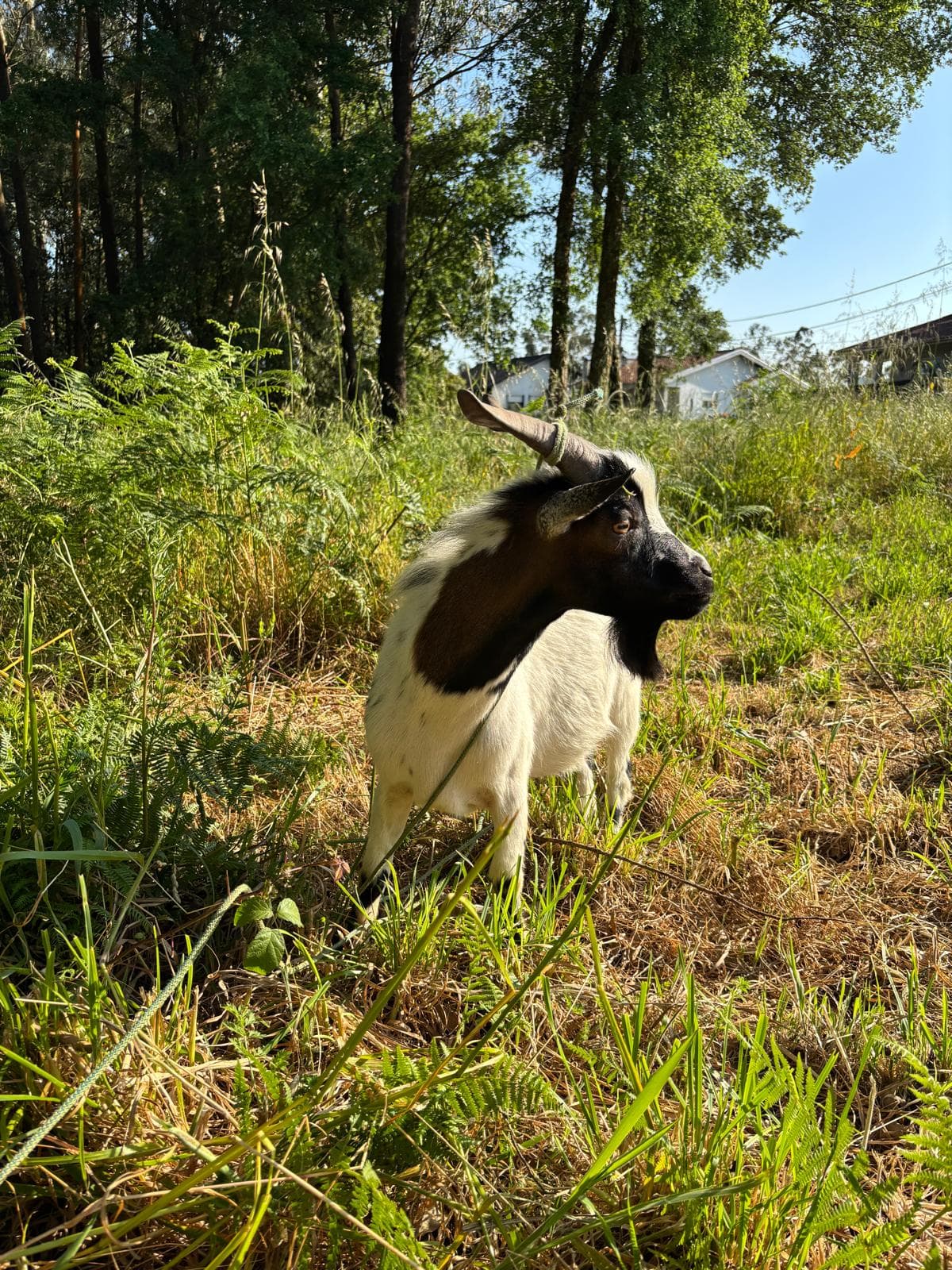 Quando a Natureza nos chamou (5/7)