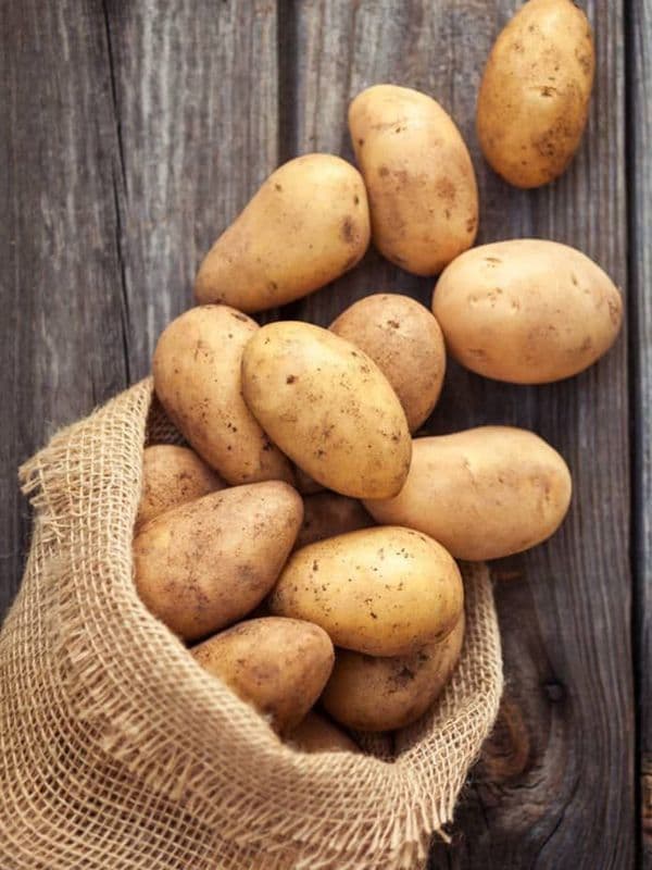 Batata